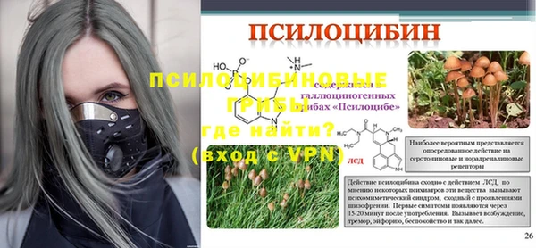 спайс Белокуриха