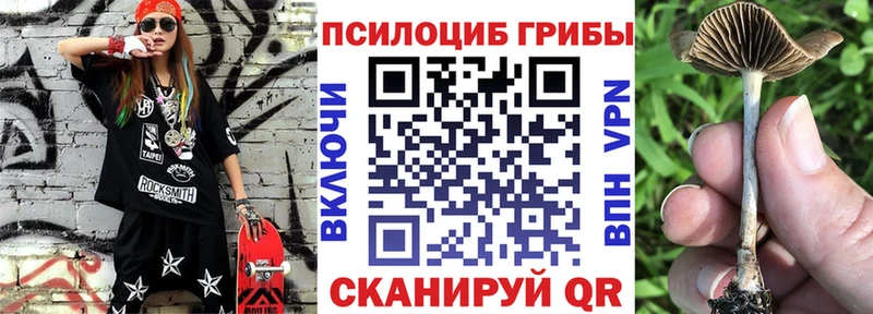 Галлюциногенные грибы GOLDEN TEACHER  наркотики  Емва 